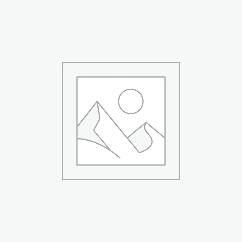 Encens cône "SANTALWOOD" Maroma