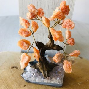 Bonza¨ou arbre du bonheur en calcite orange - boutique La Porte des Secrets