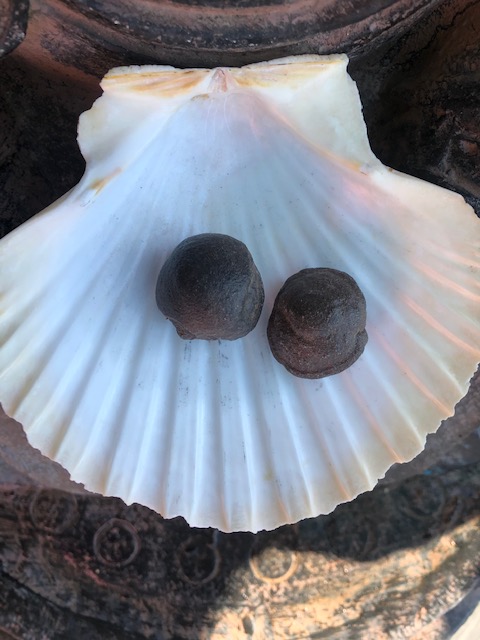 MOQUIS d'Arizona - 2.5cm - boutique La Porte des Secrets