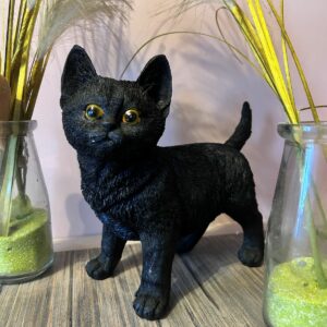 boutique ésotérique La Porte des Secrets