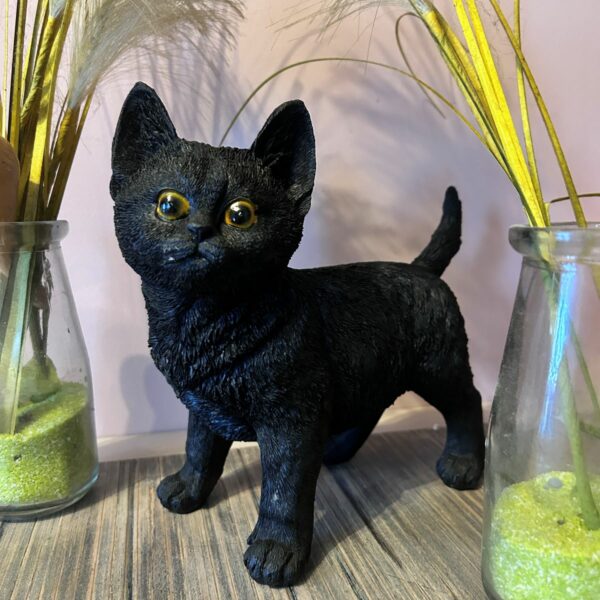 boutique ésotérique La Porte des Secrets