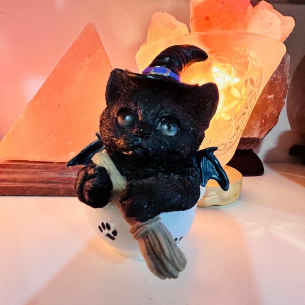 Chat balai de sorcière dans sa tasse de thé boutique La Porte des Secrets