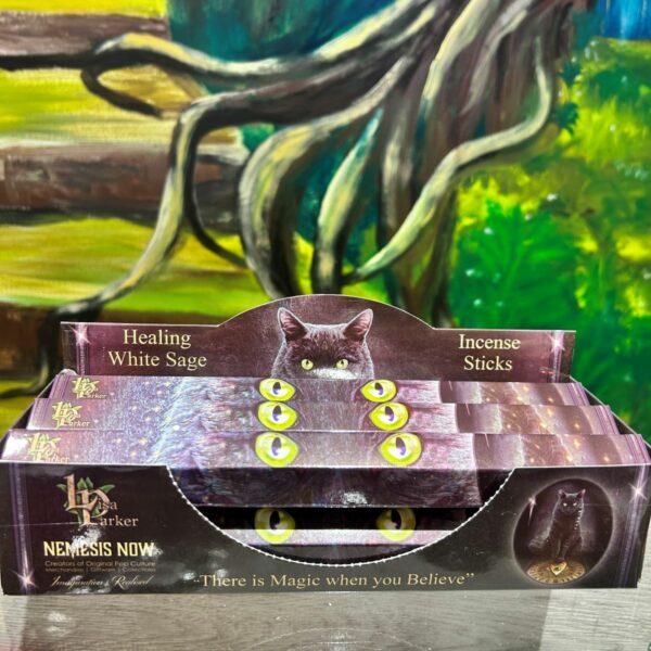 Encens Sauge blanche de guérison Lisa Parker en bâtonnets boutique ésotérique La Porte des Secrets