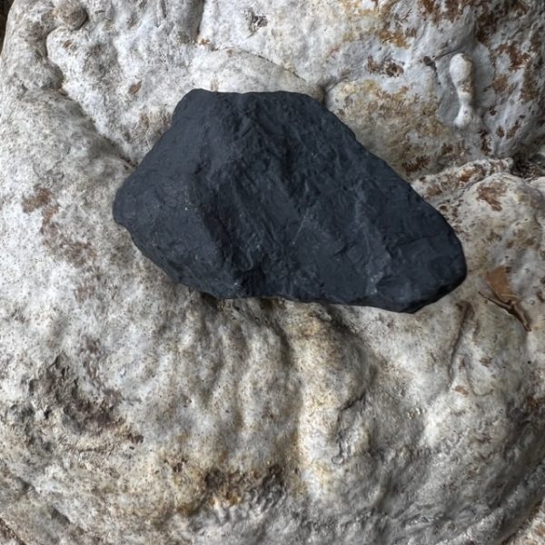 SHUNGITE brute de Russie