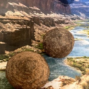 MOQUIS d'Arizona, la paire