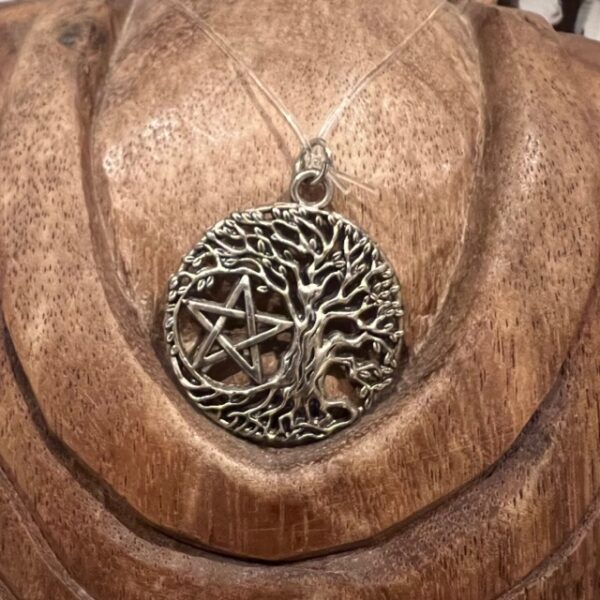 Pentacle Arbre de Vie et Pentacle, joliment ciselée, 3cm - Boutique La Porte des Secrets