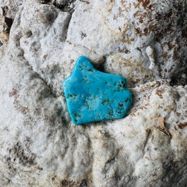 Turquoise véritable EE de Chine - plaquette polie