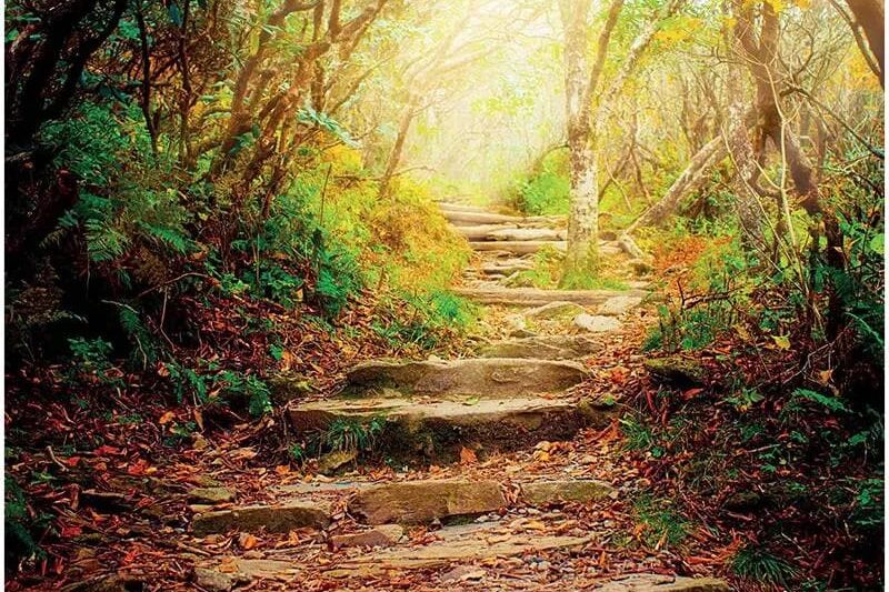 grimoire-des-secrets-anniversaire-et-portes-ouvertes