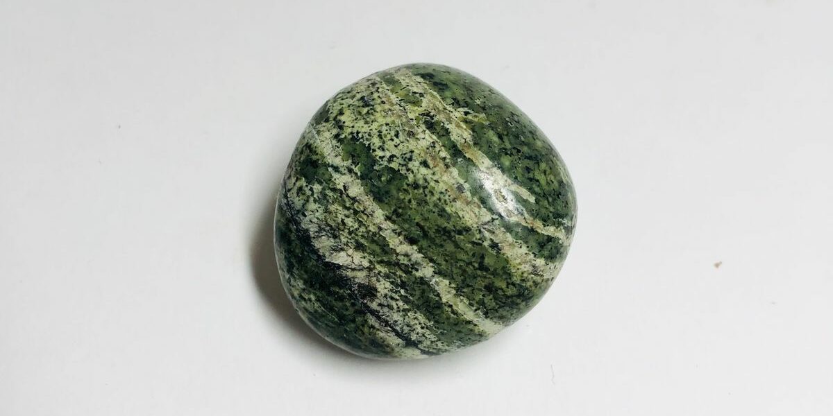 SERPENTINE verte rayée en provenance du Brésil