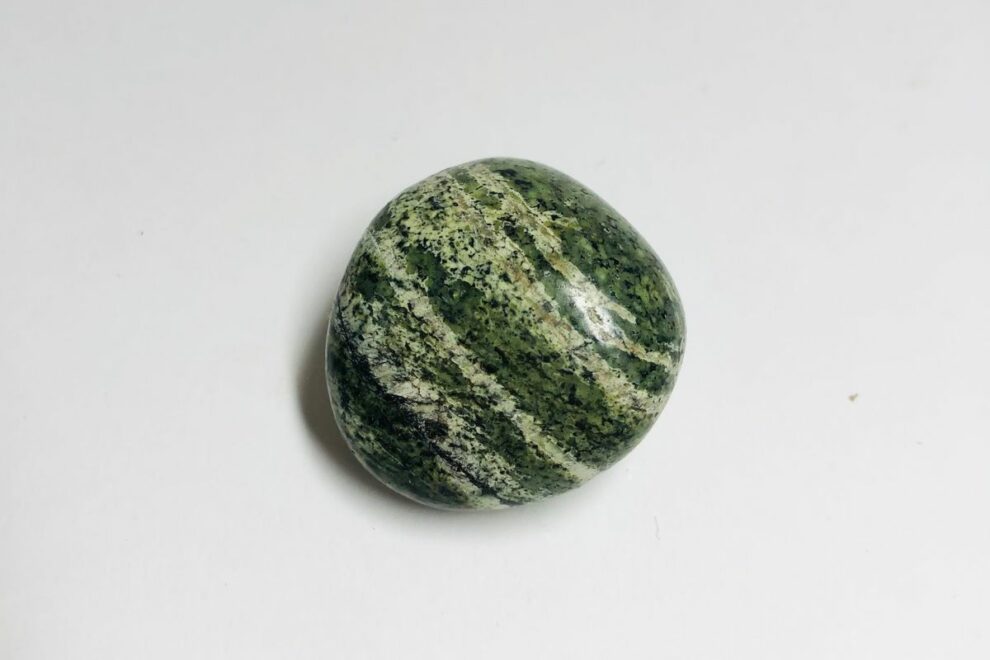 SERPENTINE verte rayée en provenance du Brésil