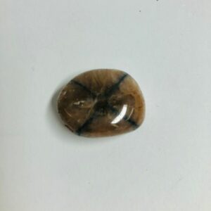 pierre Andalousite de Bretagne France - appelé Chiastolite - boutique La Porte des Secrets