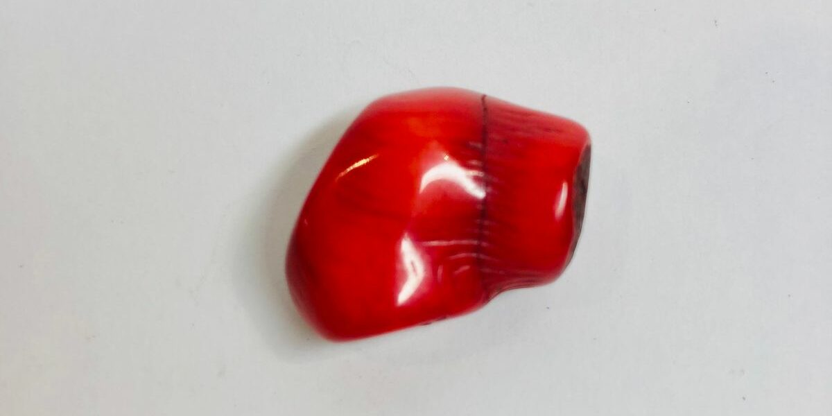 Corail forme tubulaire percé - pour lihothérapie ou créations - boutique La Porte des Secrets