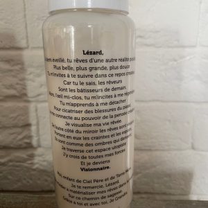 Neuvaine animal Totem LEZARD et prière