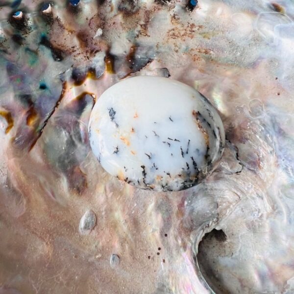 Galet en opale blanche d'Australie 5cm Boutique La Porte des Secrets