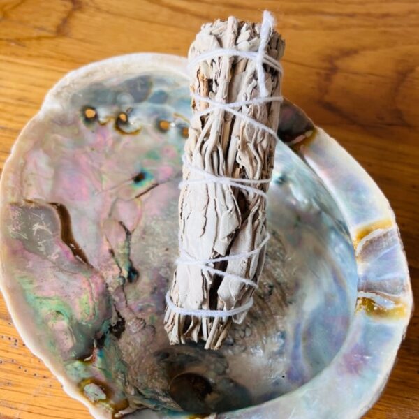 Sauge Blanche en bâton (smudge) XL, 100 gr Californie - Boutique ésotérique La Porte des Secrets
