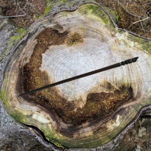 Baguette magique hibou en bois sculpté à la main – Symbole de sagesse, protection & magie spirituelle - Boutique ésotérique La Porte des Secrets