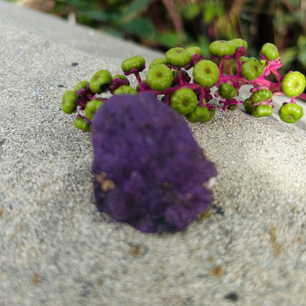 Pierre Purpurite brute de Namibie - taille environ 3.5/4 cm - Boutique La Porte des Secrets