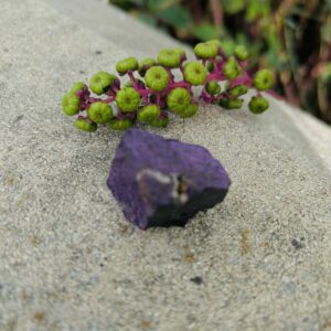 Pierre Purpurite brute de Namibie - taille environ 3.5/4 cm - Boutique La Porte des Secrets