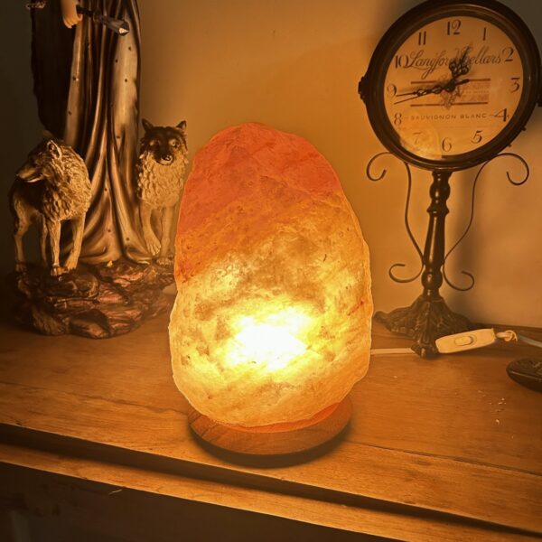 Lampe de sel rose véritable de l'Himalaya - forme libre brut Pakistan 8kg - Boutique ésotérique La Porte des Secrets