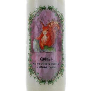 Neuvaine animal totem - Ecureuil