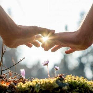 Géobiologie - Intervention en présentiel ou à distance - Les Clés de l'Univers