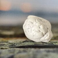 Magnésite grande pierre roulée du Brésil - environ 4.5cm - Boutique de Pierres et minéraux La Porte des Secrets