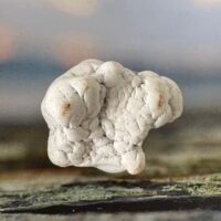 Magnésite grande pierre roulée du Brésil - environ 4.5cm - Boutique de Pierres et minéraux La Porte des Secrets