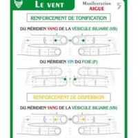 SHOU-ZU méthode d'apprentissage et rééquilibrage énergétique par les Méridiens - coffret 49 cartes - Boutique La Porte des Secrets