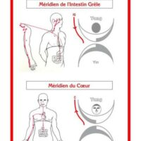 SHOU-ZU méthode d'apprentissage et rééquilibrage énergétique par les Méridiens - coffret 49 cartes - Boutique La Porte des Secrets