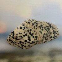 Jaspe Dalmatien Brésil, grande pierre roulée forme libre - Boutique La Porte des Secrets