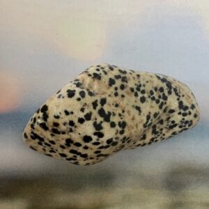 Jaspe Dalmatien Brésil, grande pierre roulée forme libre - Boutique La Porte des Secrets