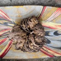 Rose de Jericho, du désert de Chihuahua - Boutique La Porte des Secrets