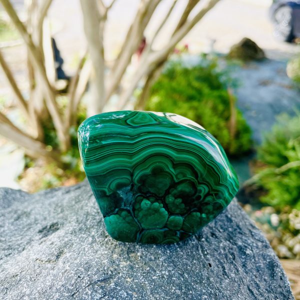 Malachite autre face, forme libre qualité extra, Congo - H6cm x L8.5cm épaisseur 4cm - Boutique pierres et minéraux La Porte des Secrets