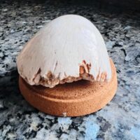 Pierre Scolecite polie d'Inde - Boutique de pierre et minéraux La Porte des Secrets