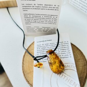 Ambre cognac et miel magnifique, collier cuir noir - Boutique de pierre et minéraux La Porte des Secrets