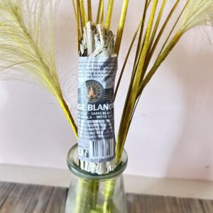 Sauge Blanche fagot (smudge) de Californie 25 gr - Boutique La Porte des Secrets