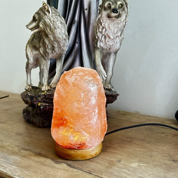 Lampe de sel brut forme libre LED couleur changeante 650 gr - Boutique La Porte des Secrets