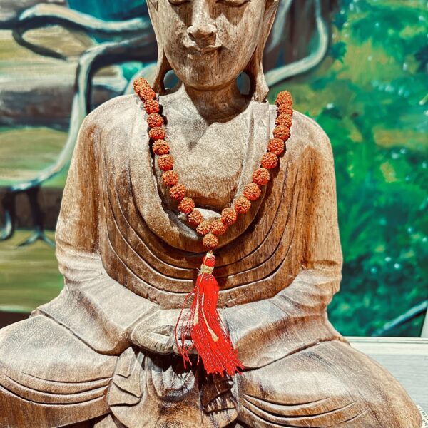 Mala en Rudraksha véritable perles 6 mm - Boutique La Porte des Secrets