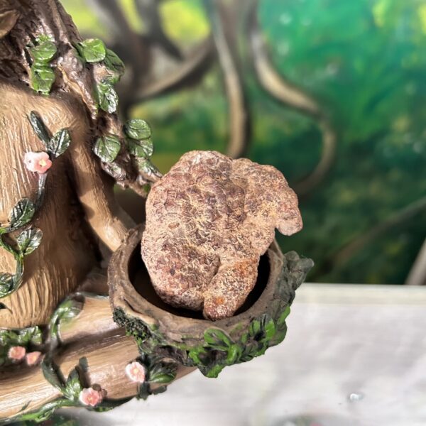 Nodule de Marcasite, pierre des Chamans - Boutique La Porte des Secrets