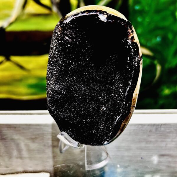 Séptaria sauvage cristallisée et polie grand nodule face brute de Madagascar - Boutique La Porte des Secrets