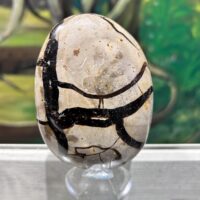 Séptaria sauvage cristallisée et polie grand nodule de Madagascar - =Boutique La Porte des Secrets