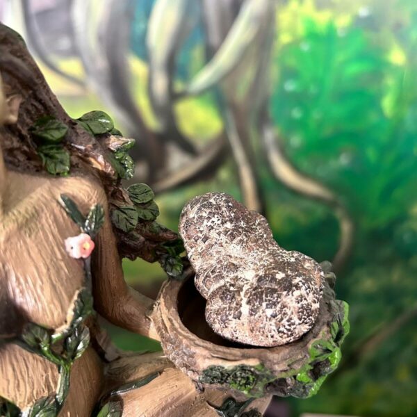 nodule de Marcasite ou Marcassite naturelle Pierre des Chamans boutique de minéraux La Porte des Secrets