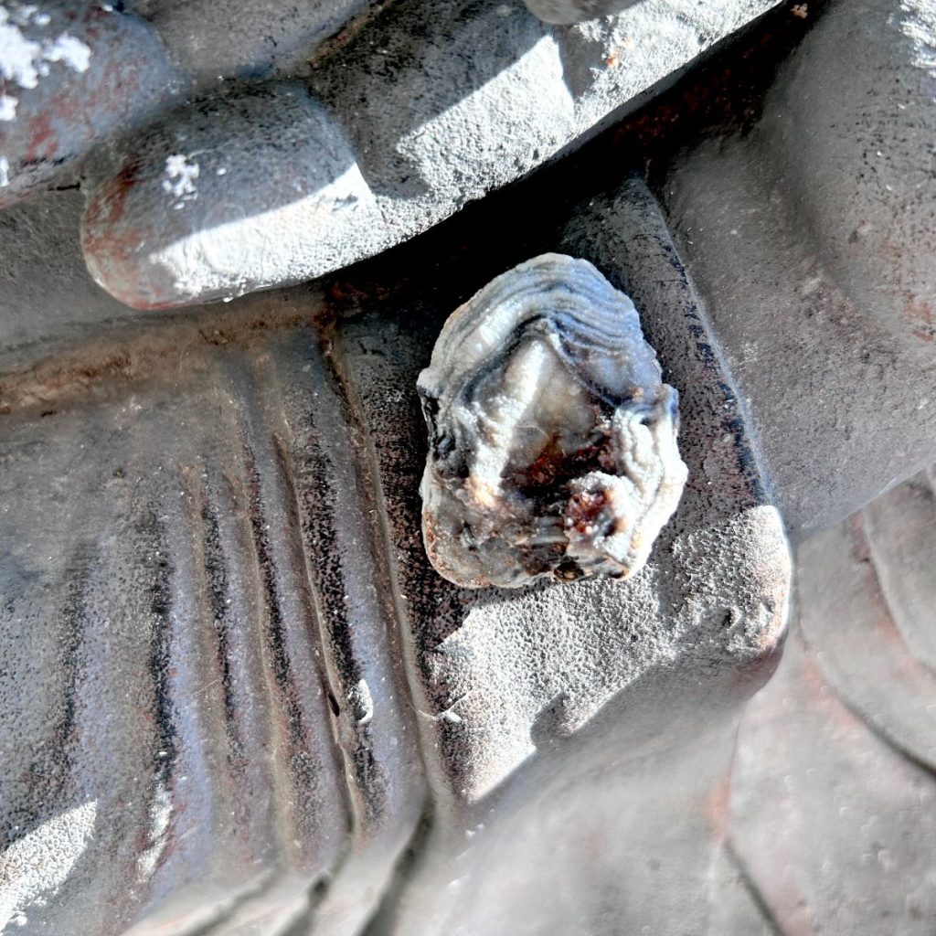 Pierre de Calcédoine fleur en provenance du Brésil pierre cristallisée et brute boutique La Porte des Secrets