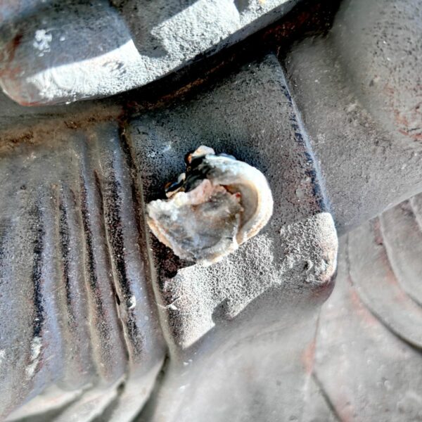 Calcédoine fleur en provenance du Brésil pierre brute micro cristallisée avec des auréoles boutique La Porte des Secrets