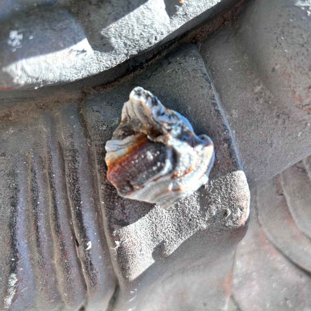 Pierre rare de Calcédoine fleur,du Brésil ou d'Inde boutique La Porte des Secrets