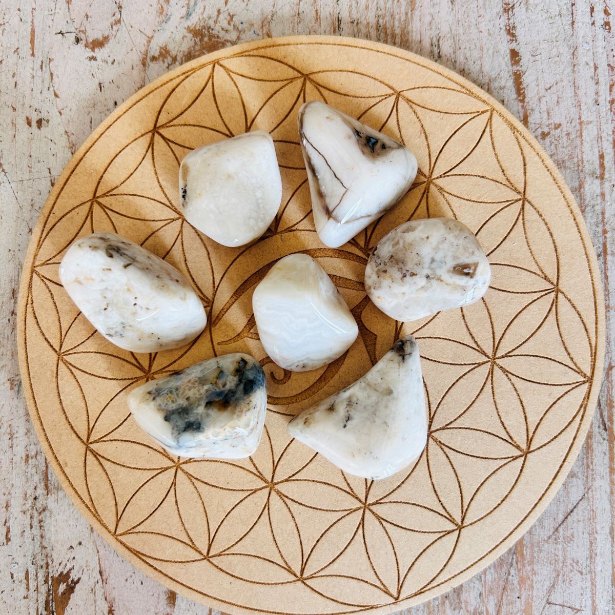 Cataclasite de Namibie -pierre roulée boutique de pierres et minéraux La Porte des Secrets