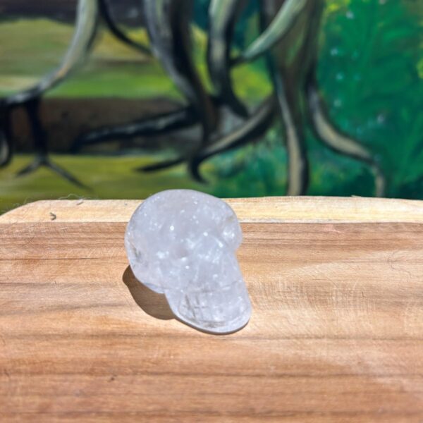 Crâne de cristal de roche artisanal du Mexique très belle qualité 4.5 cm hauteur 3 cm - Boutique La Porte des Secrets
