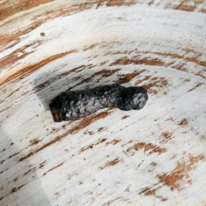 Pierre de prophétie ou prophecy stone ou encore pierre Z boutique la Porte des Secrets