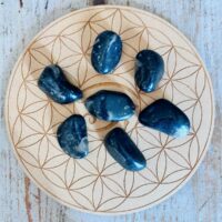 Pierre du Vatican (Vatican Stone) ou marbre de Frosterley Pierre roulée -* Boutique de minéraux La Porte des Secrets