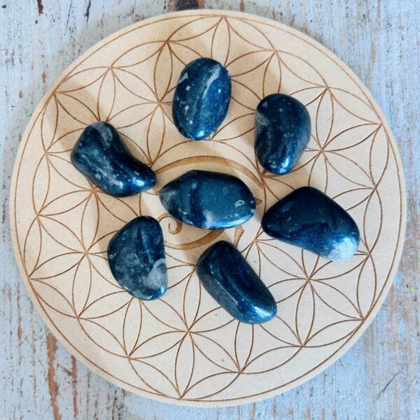 Pierre du Vatican (Vatican Stone) ou marbre de Frosterley Pierre roulée -* Boutique de minéraux La Porte des Secrets